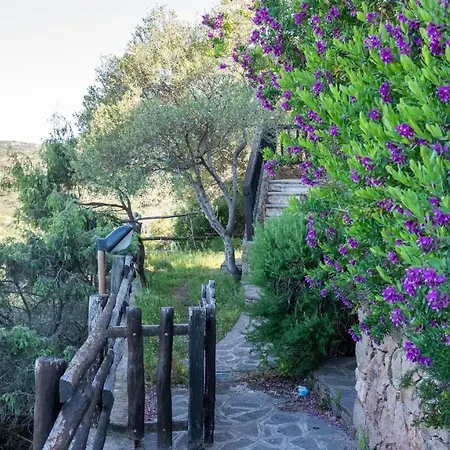 La Rosa Dei Venti Apts Apartment Porto San Paolo (Sardinia)